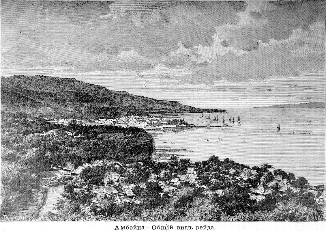 313 Амбойа - Общий вид рейда